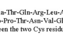 Structural formula of pramlintide acetate 