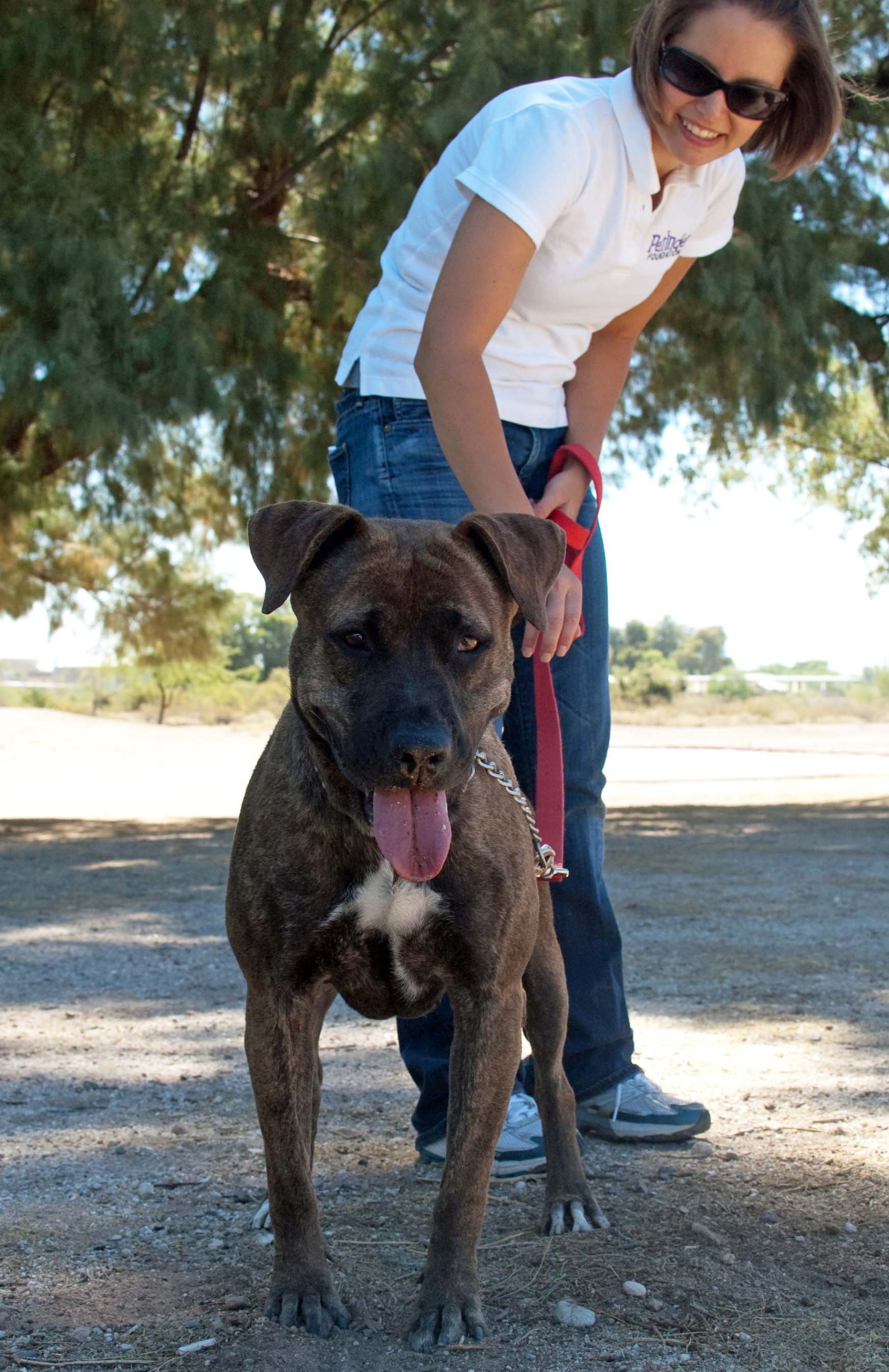 Lisa Walks Nina the Adoptable Dog