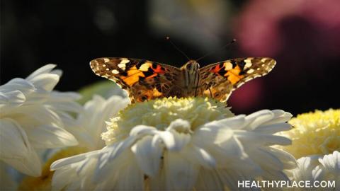 The little things can put a big dent in depression's power and they should be part of your wellness toolbox. More at HealthyPlace.