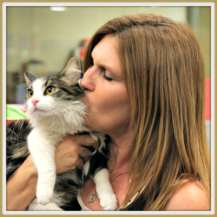 Roman gets plenty of loving while he waits at Lifeline for Pets in Monrovia, Calif. 