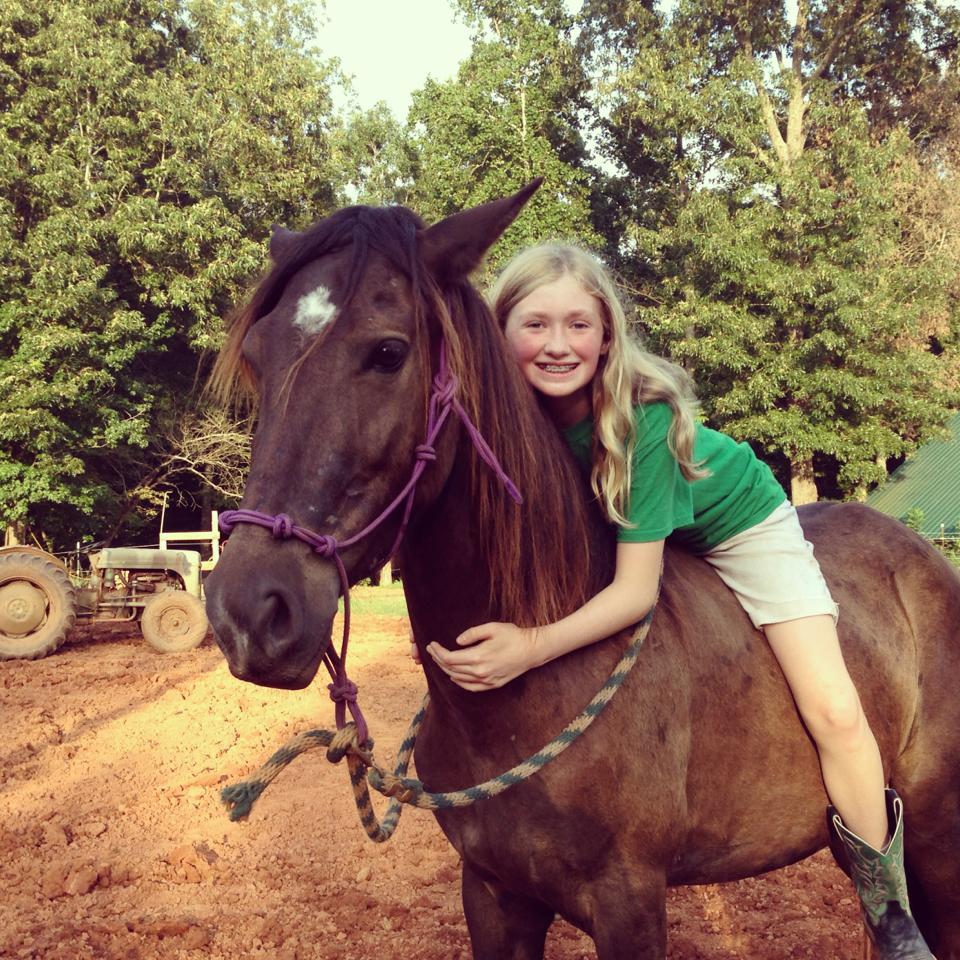 Storm (Photo: Dream Equine Therapy Center)