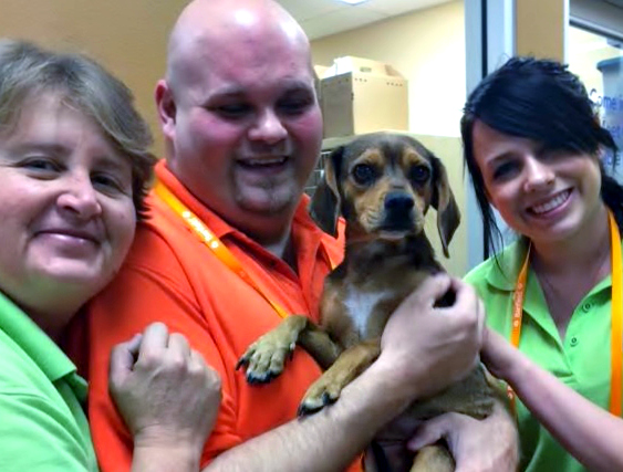 Bella, an adoptable Beagle, poses with her friends from The Animal Foundation.